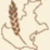 Solo grano veneto