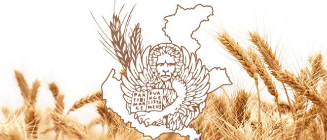 Solo grano veneto